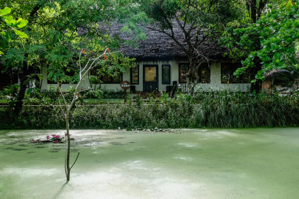 Marari Beach Resort - CGH Earth