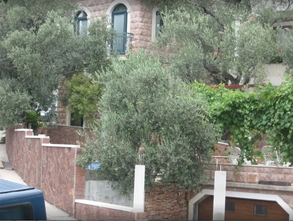 Levantin Inn 13 Room N10