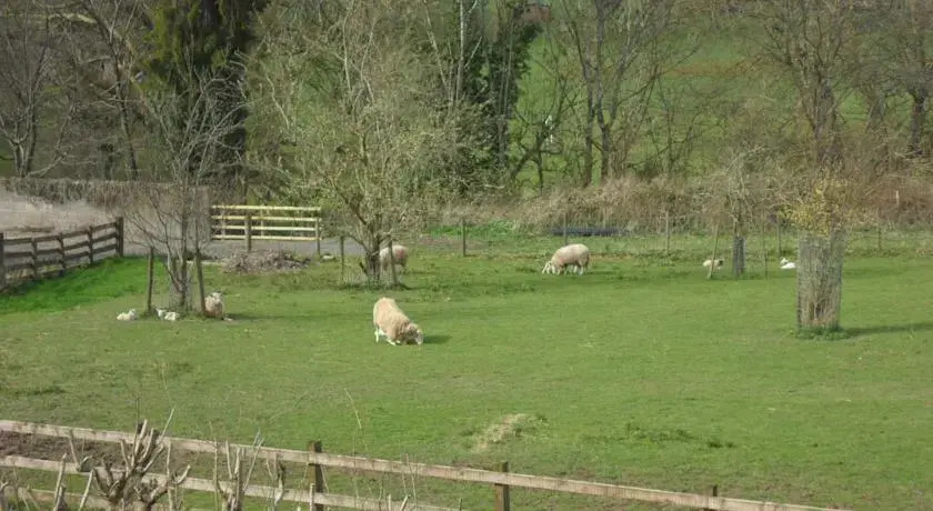 Newburn Farm