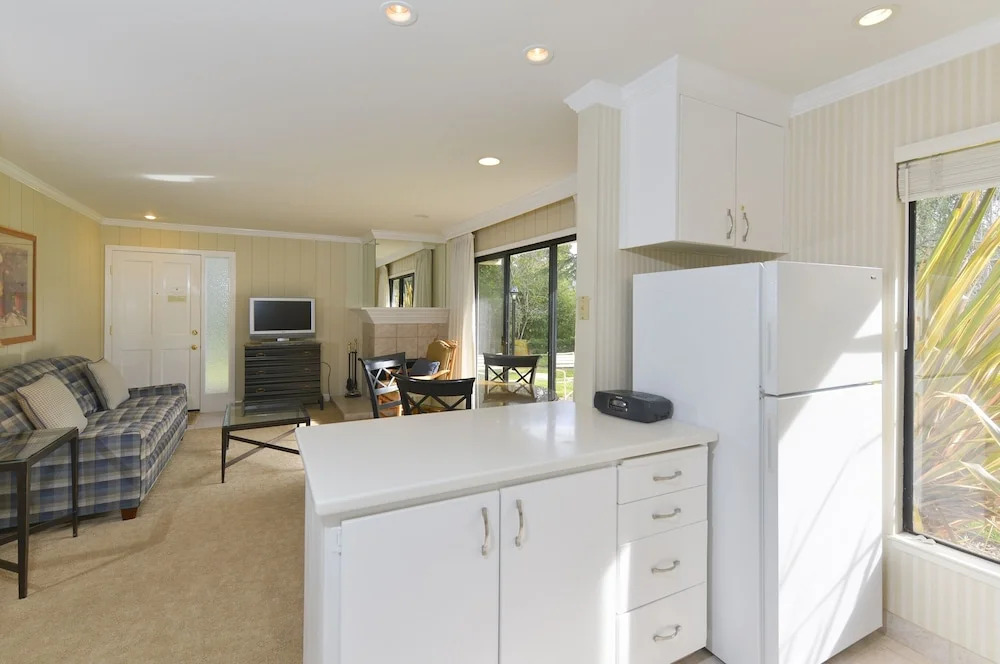 481 Mansion S At Silverado 1 Bedroom Condo