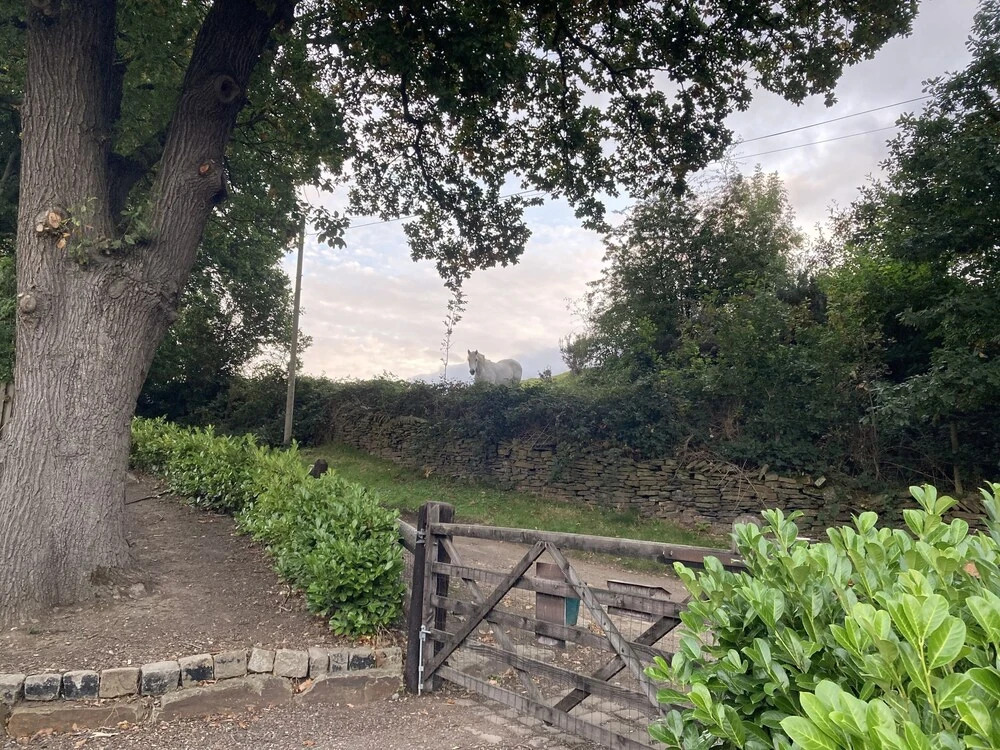Pingle Nook Farm, Denby Dale