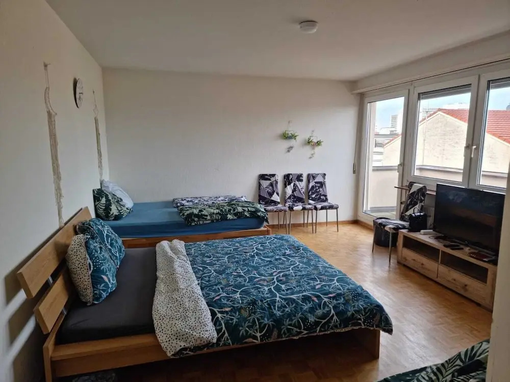 All the Apartment in Basel up to 7 People