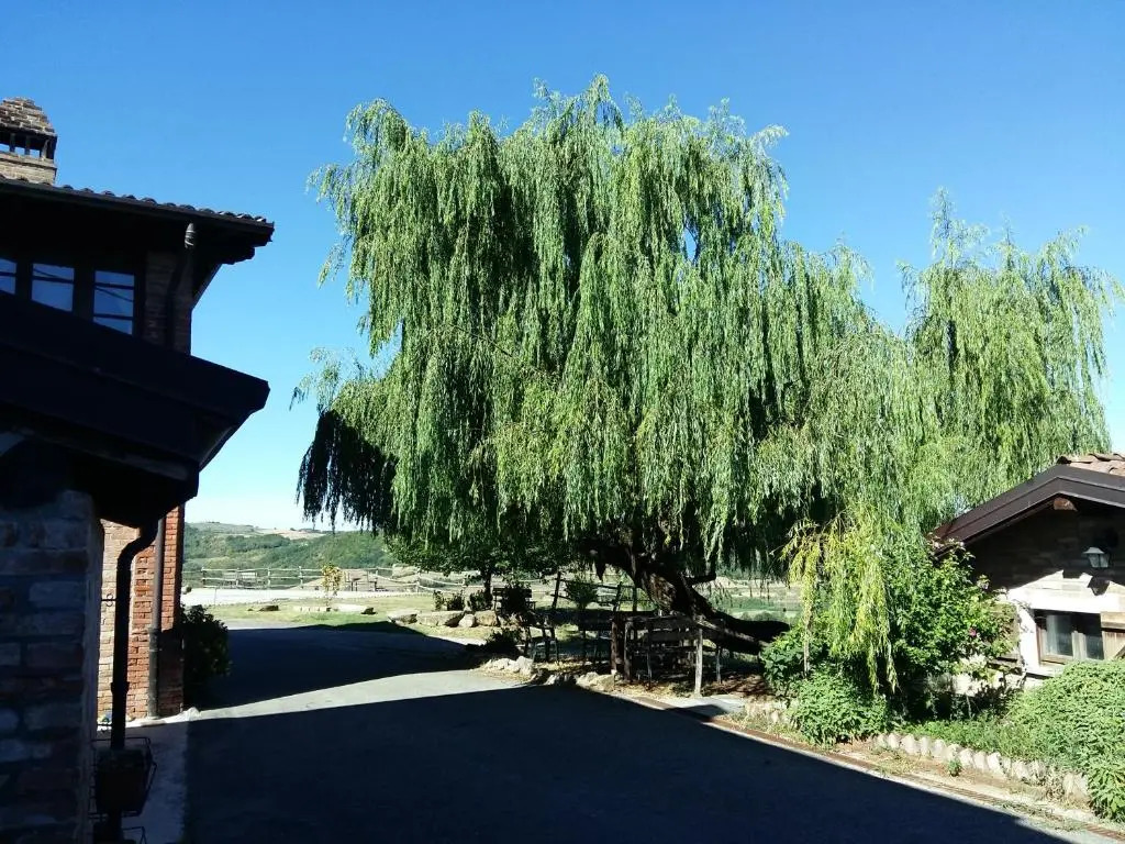Ca DellAglio