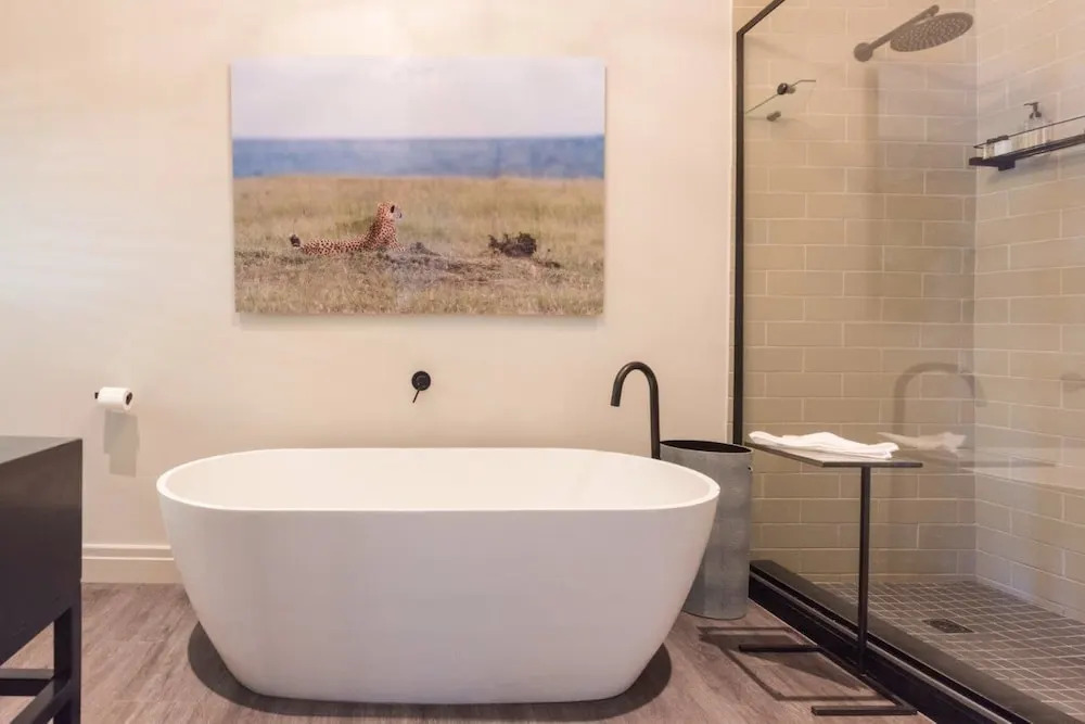 Ashia Cheetah Experience