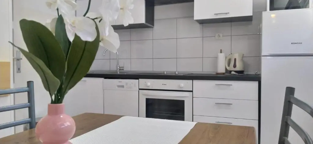 Apartment Banovac
