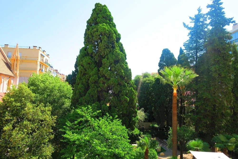 Nestor&Jeeves - COTE JARDIN - Central - Close sea