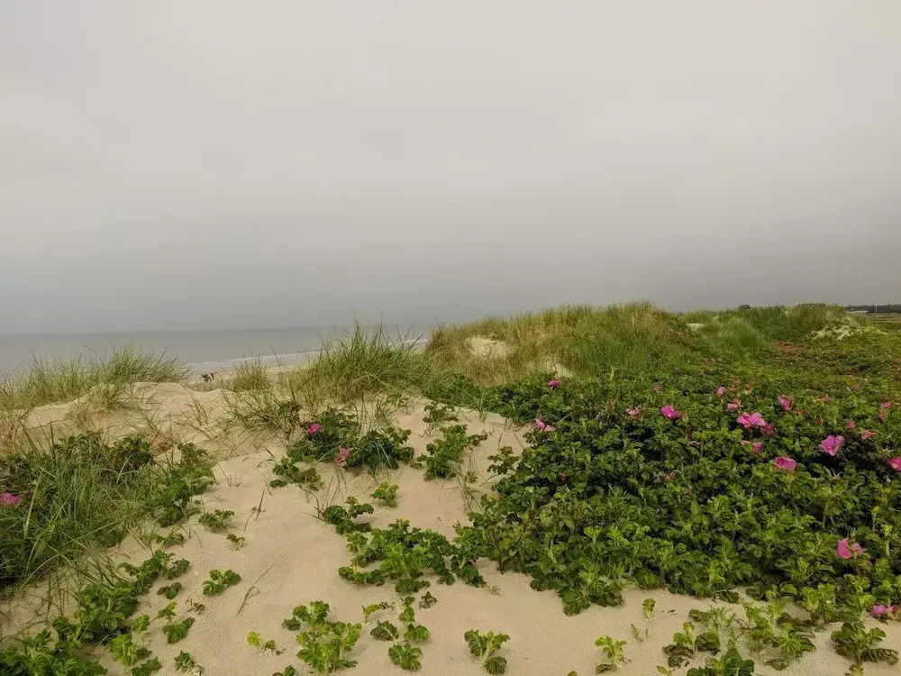 6 person holiday home in Blåvand