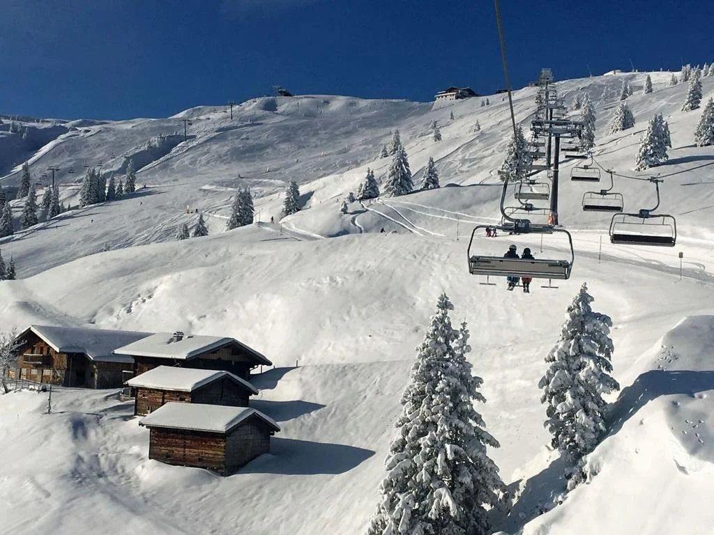 Berggasthof Schatzbergalm