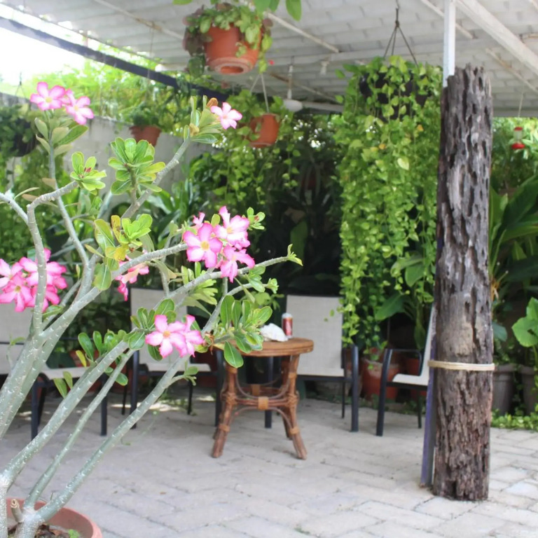 Hotel Arenas del Pacifico