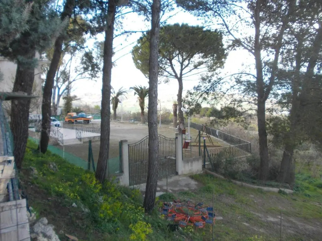 L'Albero Amico