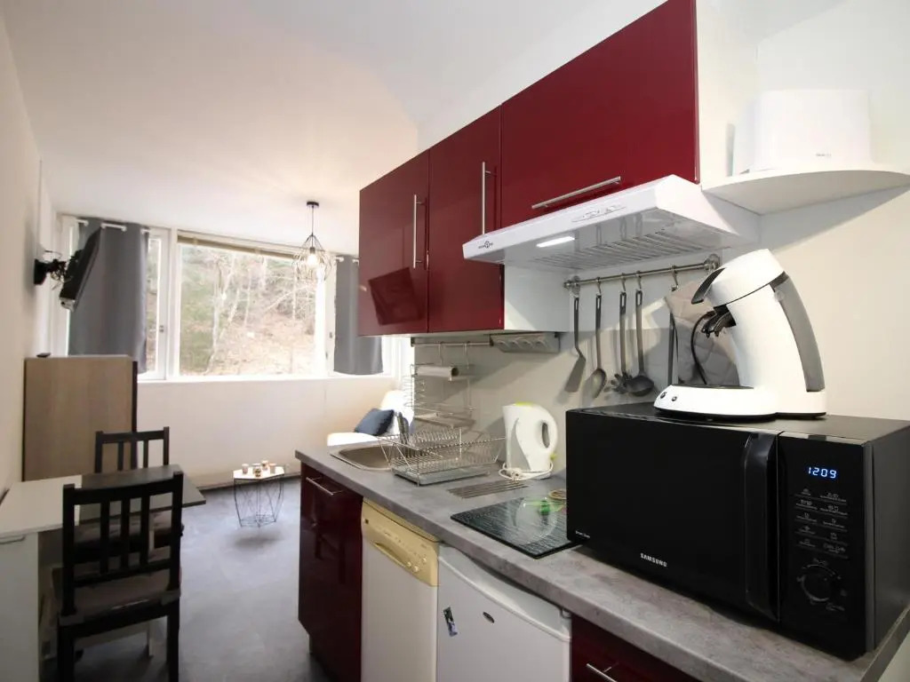 Appartement Mont-Dore, 1 pièce, 3 personnes - FR-1-608-160