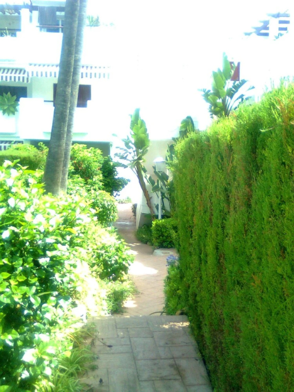 Apartment With In Estepona With Pool Access And Furnished