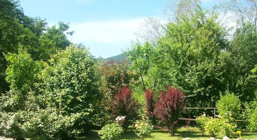 Parco Matildico Di Montalto
