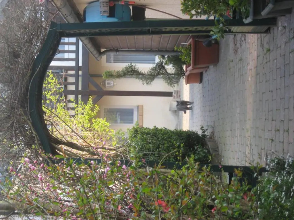 Auberge Le Cheval Blanc