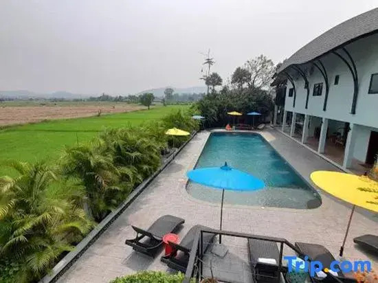 Capybara Zen Resort & Spa