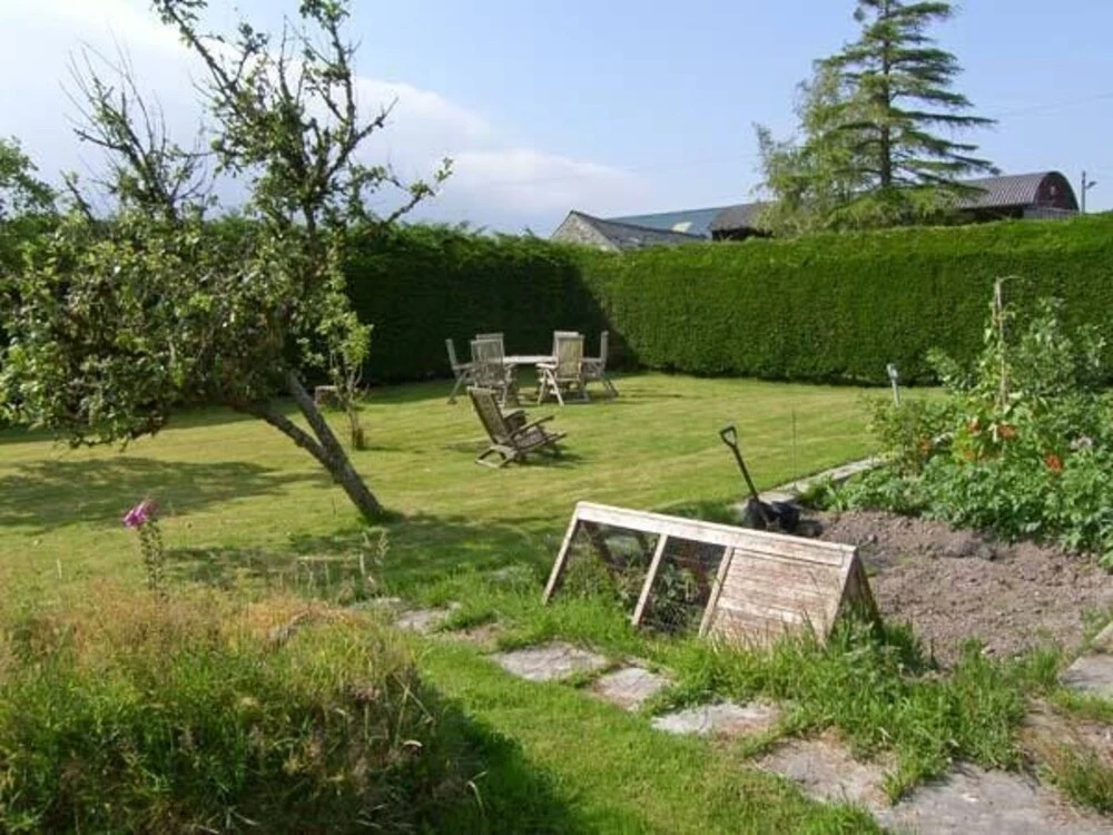 Eithin Fynydd
