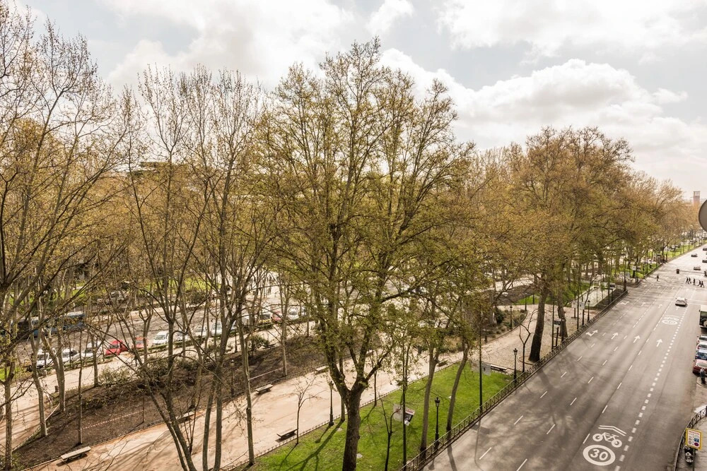 Apartamento Hopkins