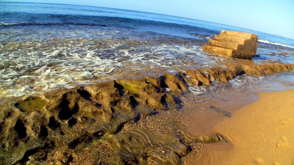 West Coast Inn's Rincon