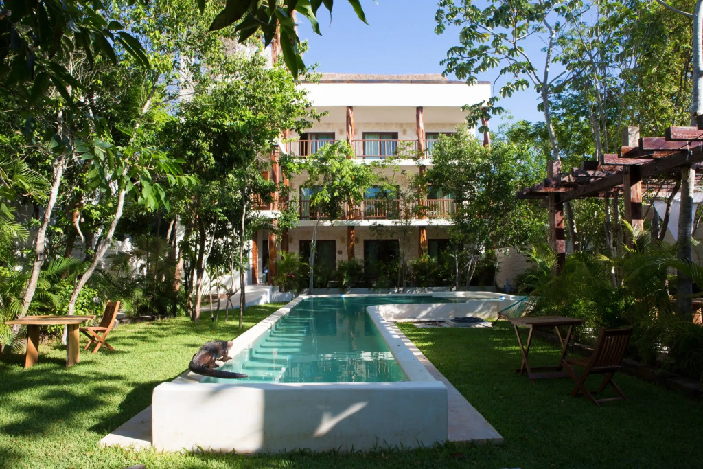 Casa Selva Orquideas