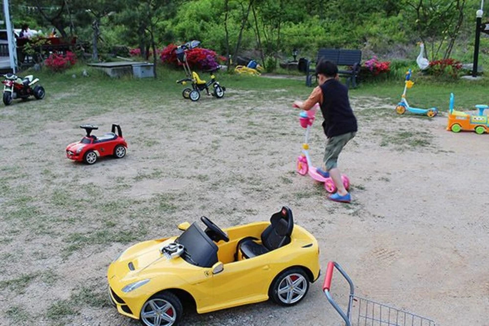 Hongcheon Princess Kids Pension