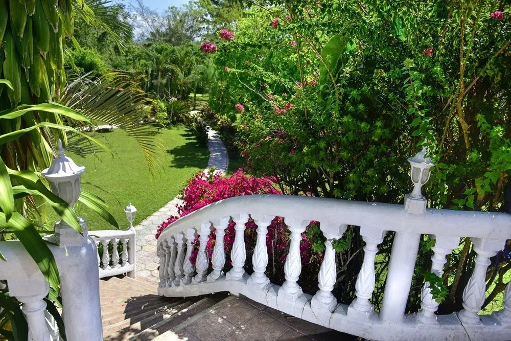Banana Bank Lodge & Jungle Horseback Adventures