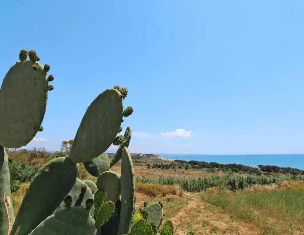 Apartment in Castelvetrano With Garden