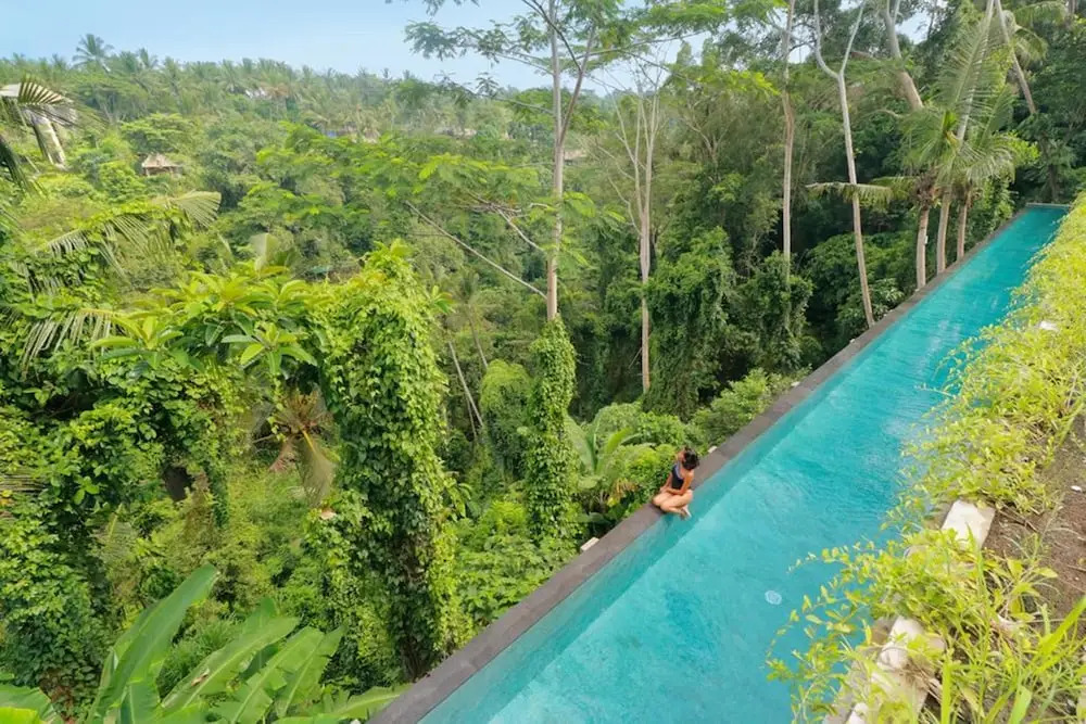 The Pandora Hotel