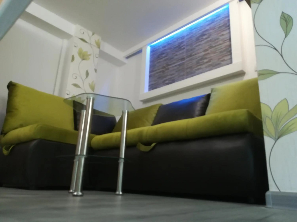 Classy and Cozy - New - 3 beds - Near Center
