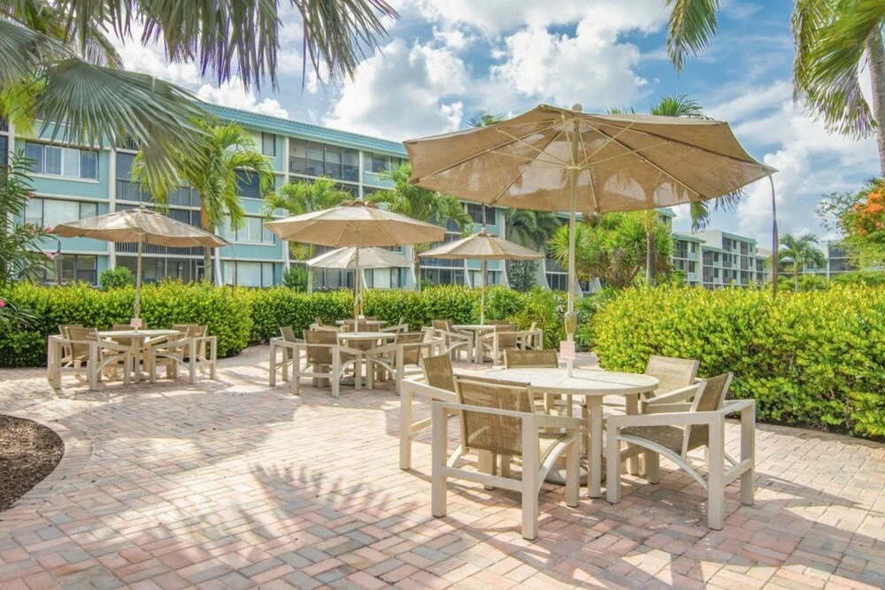 Loggerhead 282