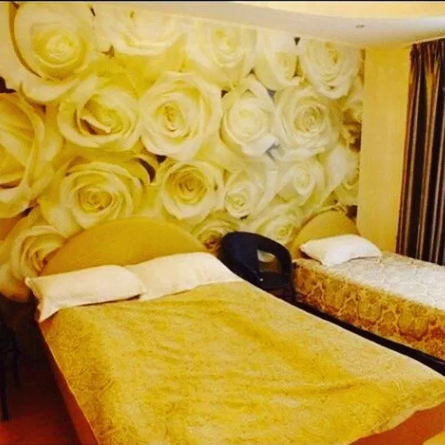 Otelsakha Minihotel