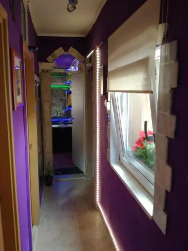 S-type apartment in the center