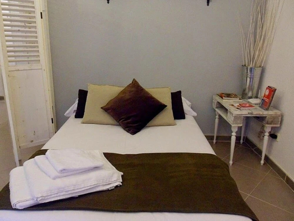Apavonia Apartamento Madrid Centro Calle Toledo