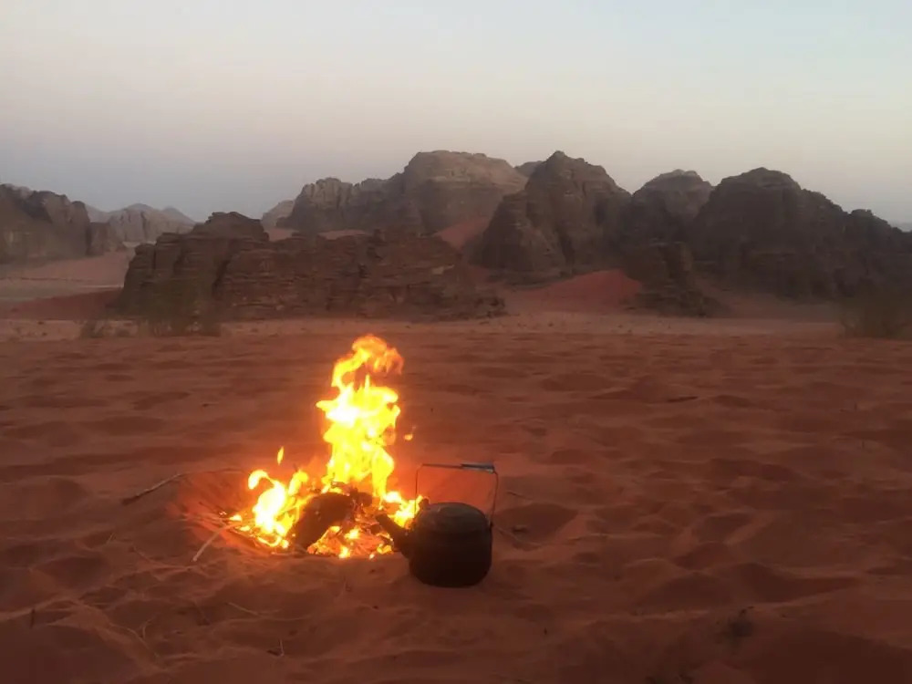 Wild Wadi Rum