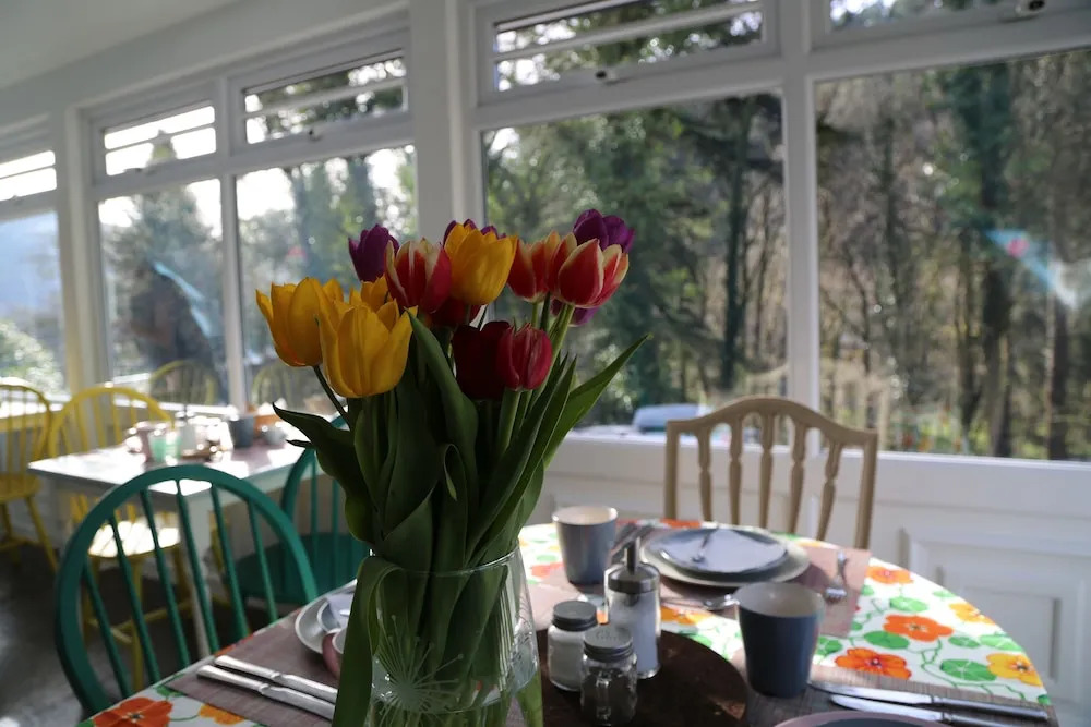 Summerhill Guest House