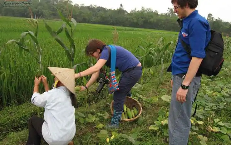 Moon Garden Homestay