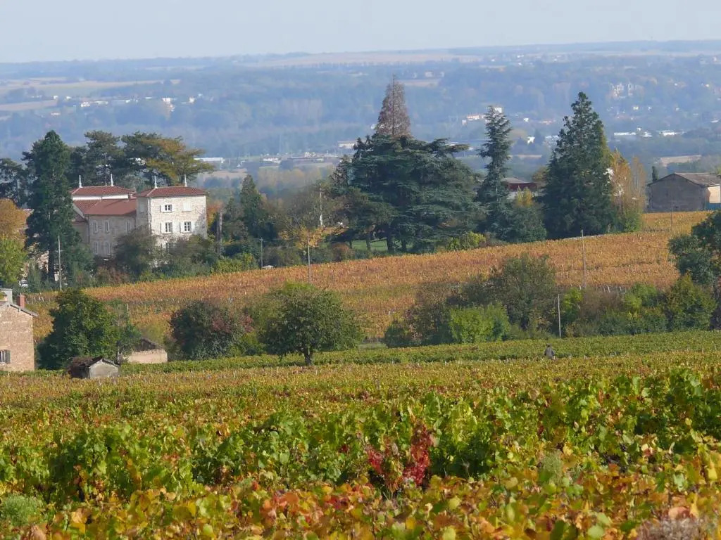 Château de Grandmont - Escale authentique au coeur des vignes