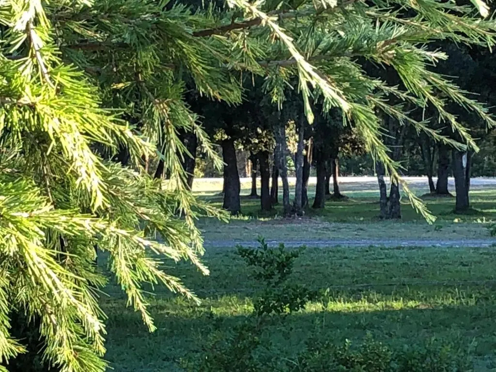 Domaine de Bracciole