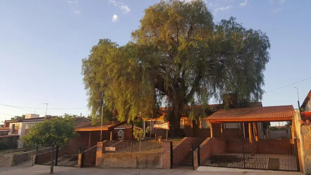 El Aguaribay de los Nonos