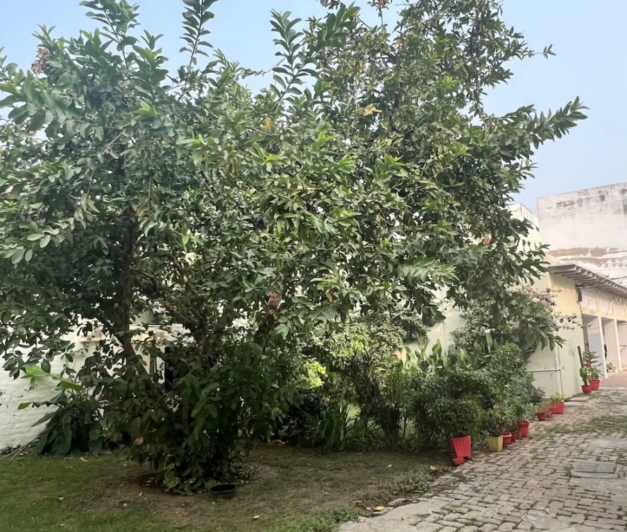 Colonel Dugal's - Near Taj, Fort & Shopping