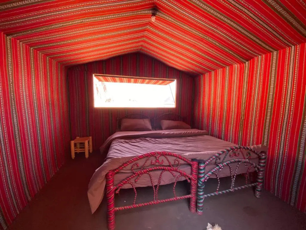 Momoo's Camp