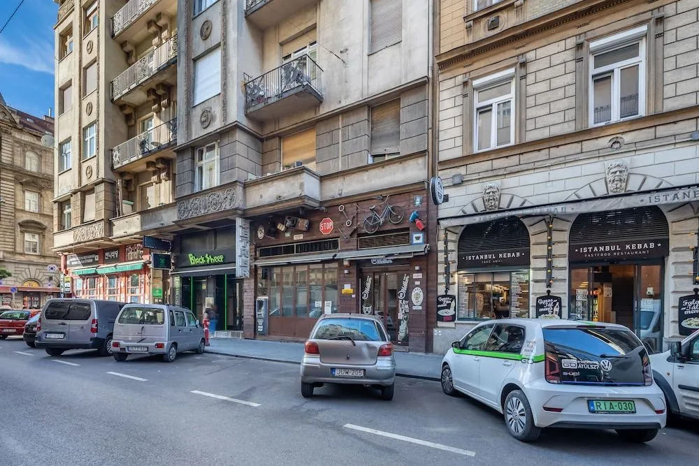 Huge Apartment in the city center