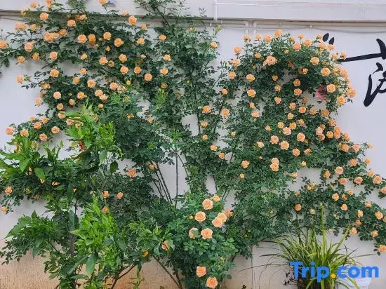 Shiguang Bieyuan Homestay
