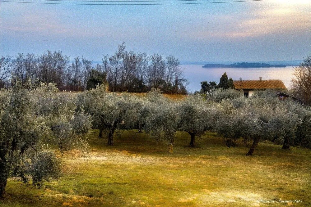 La Gemma sul Lago