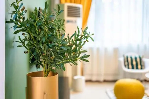 Zhengzhou Zhongyuan·Zhongyuan Wanda· Locals Apartment 00168220