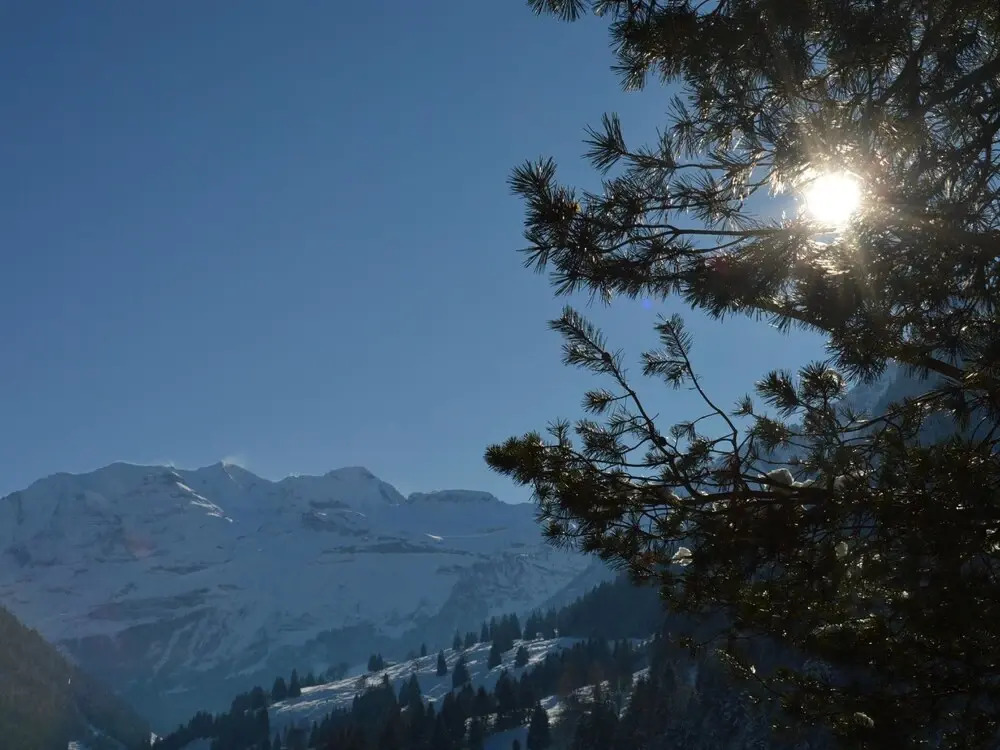Chalet Zimmermann Kiental BE