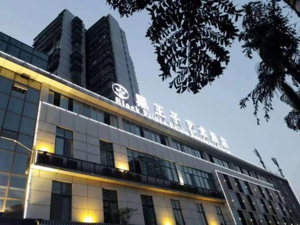 Black Prince Art Hotel (Luzhou Longmatan District Government Store)
