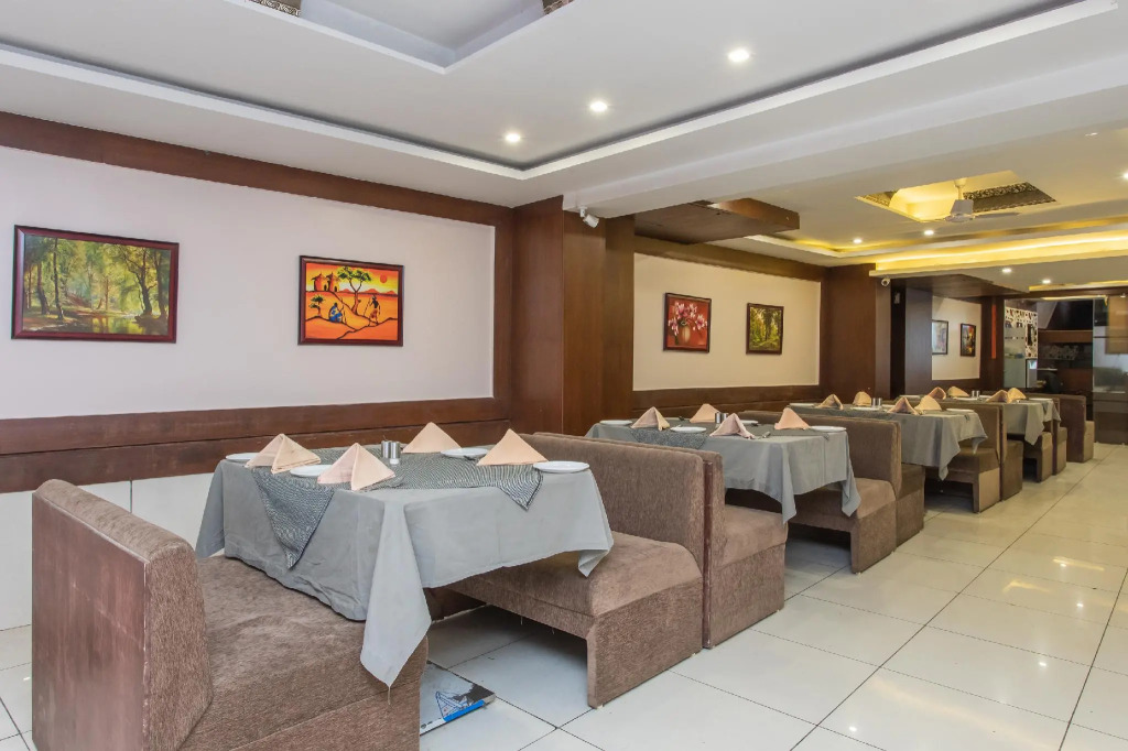 OYO 8882 Hotel Pishori Residency