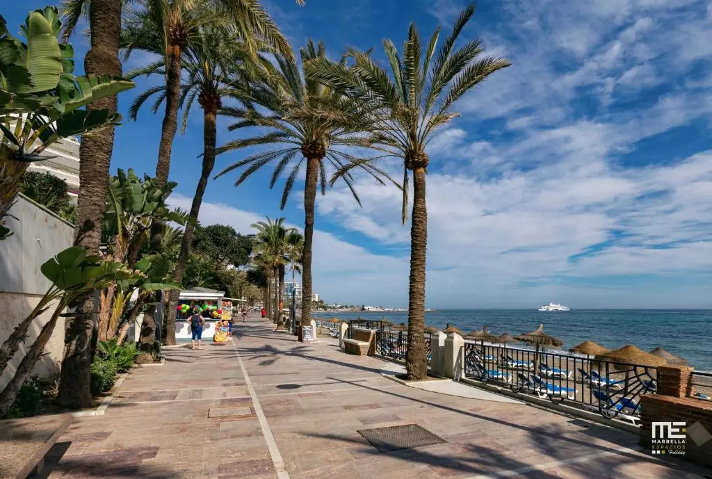 751, Renovated 1 Bedroom Apartment, Second Line Of The Beach, Wifi, Parking