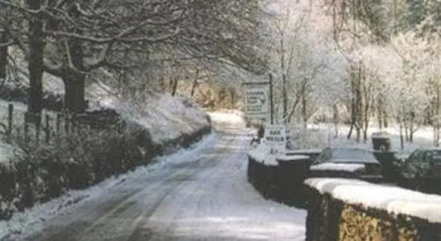 Grizedale Lodge