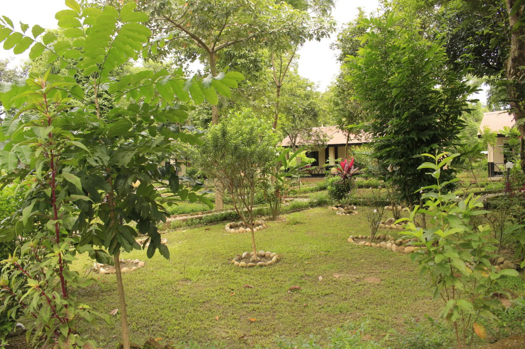 Chitwan Safari Resort